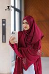 Marron Embroidery abaya 4